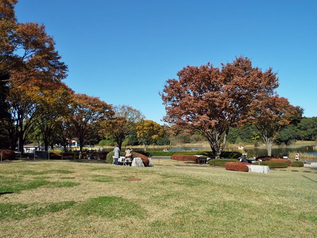 DSCF0013