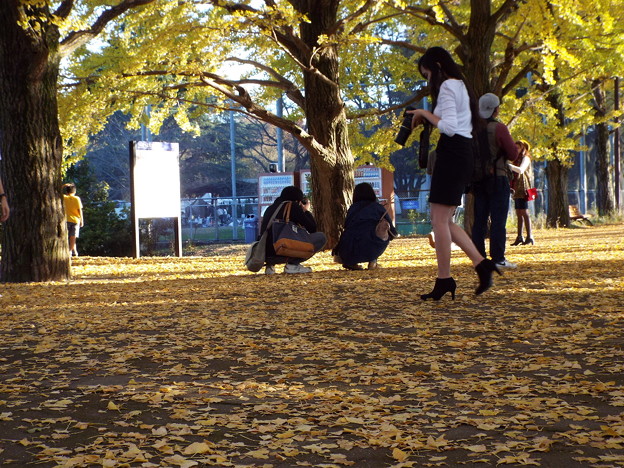 DSCF0635