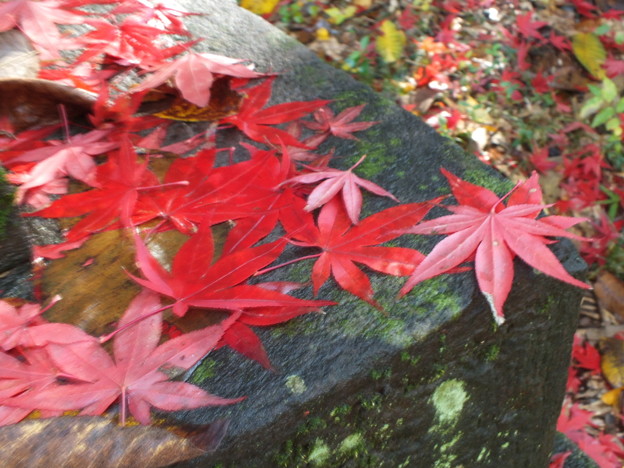 DSCF0092
