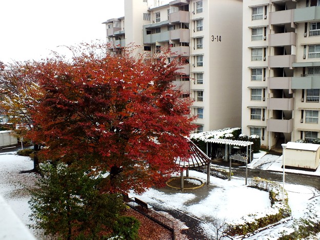 16・00DSCF0059