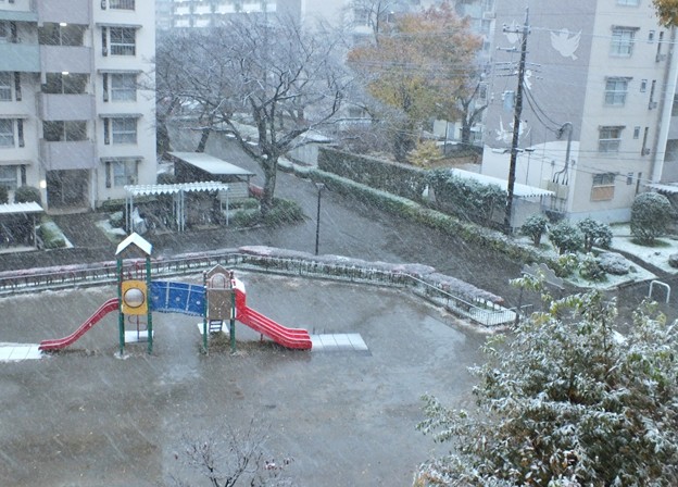 7・2DSCF0006