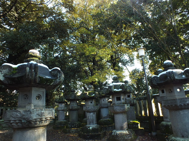 DSCF0345