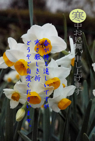 寒中4