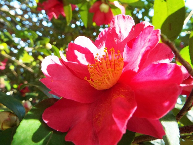 DSCF0038