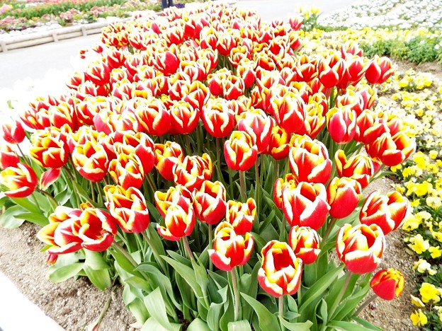 DSCF0391
