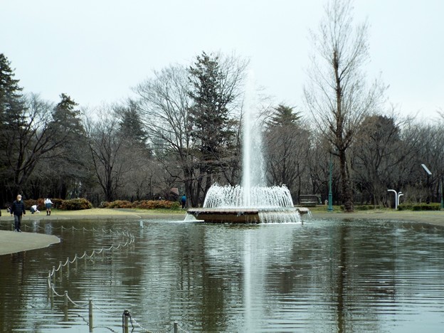 DSCF0168