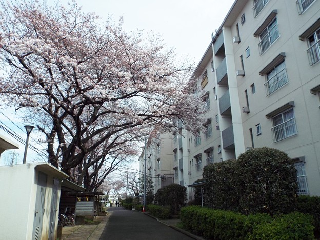 DSCF0050