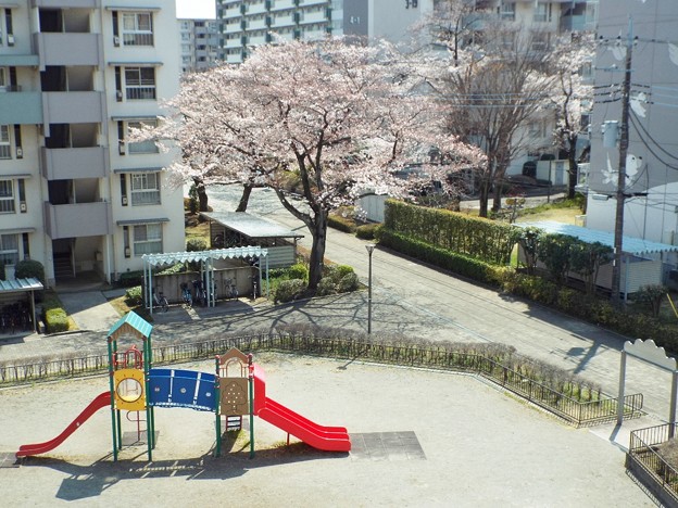 DSCF0004