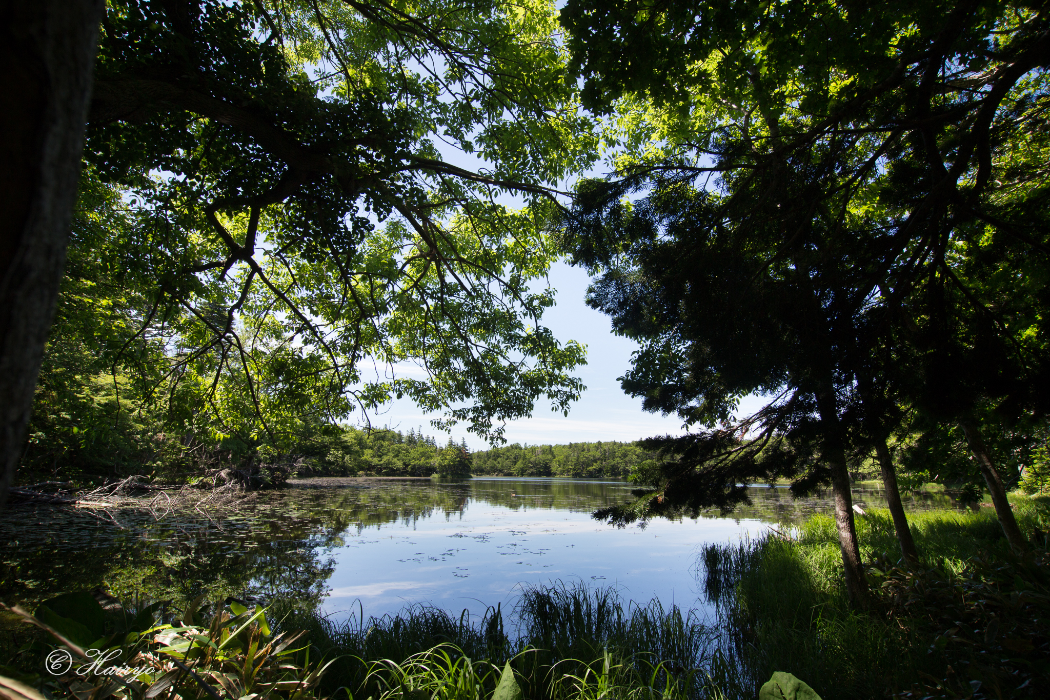4. 四湖