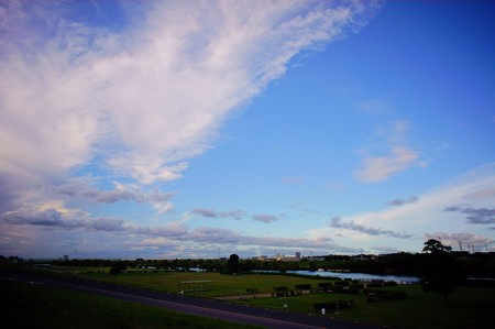 江戸川土手