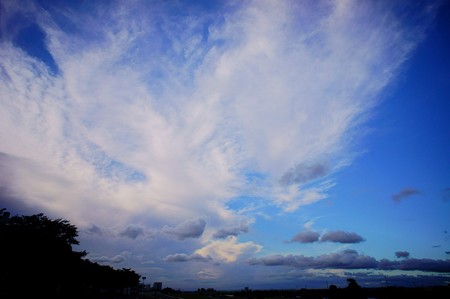 江戸川土手