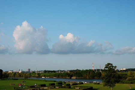江戸川土手