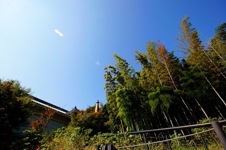 本土寺