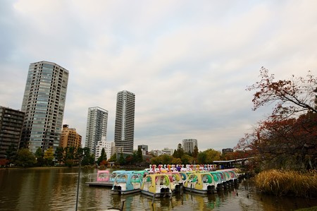 上野不忍池