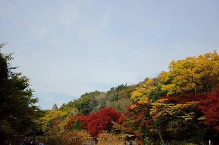 じゅんさい池緑地