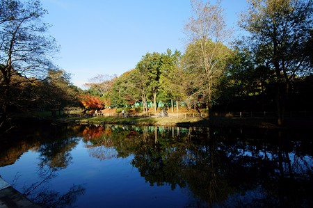 大町自然観察園