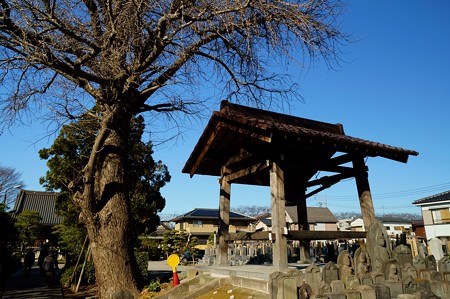 真勝院