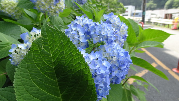 DSC02052