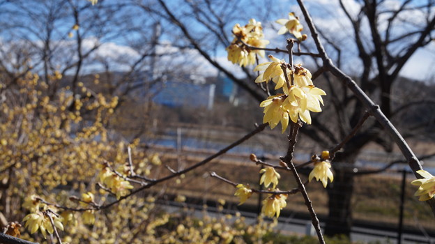 DSC00563