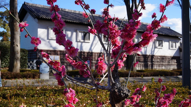 DSC00608