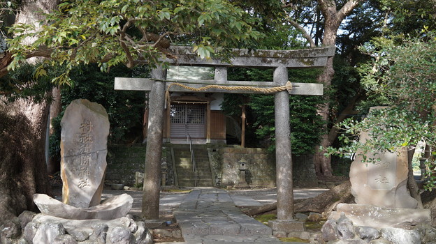 DSC00955