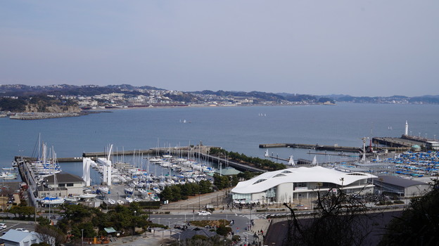 DSC01036