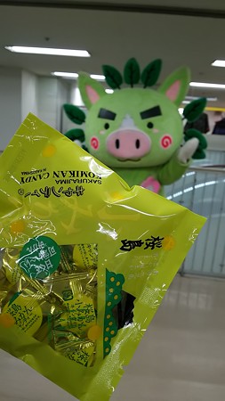 これはもらいました。