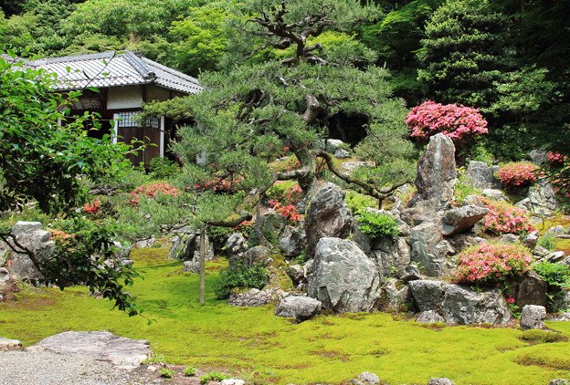 枯山水-１