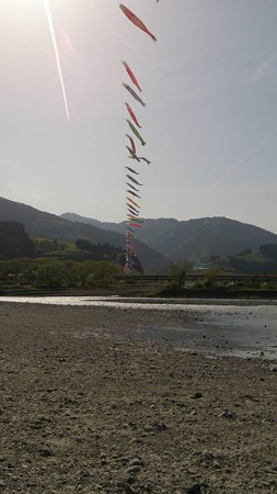 IMG_0531