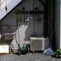 Photos: 青と緑