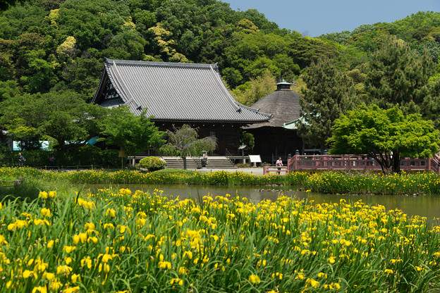 DSC00001