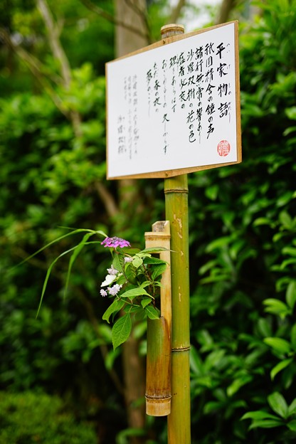DSC00716