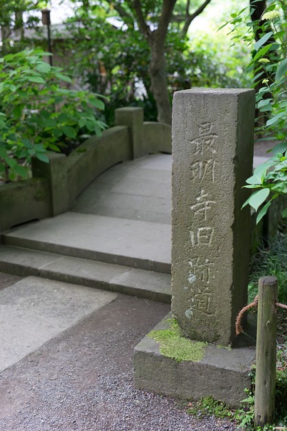 DSC00783