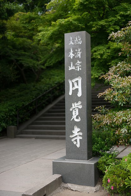 DSC00797