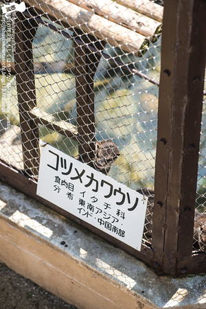 ikeda150328338