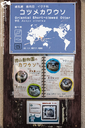 tokuyama160321002