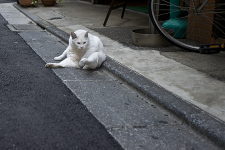 mochi090419005