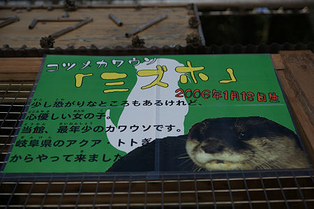 katurahama110311002