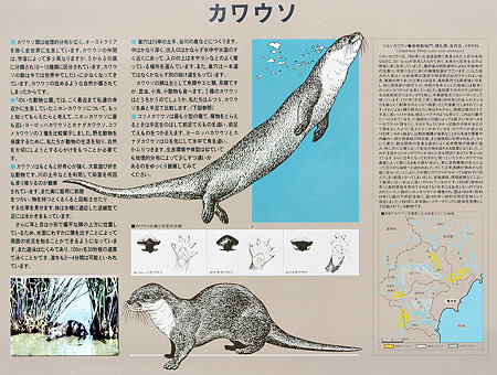 noichi110311012