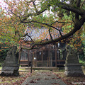Photos: 桜町神社