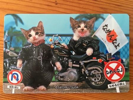なめねこ