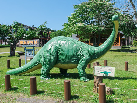 奇石博物館のアパトサウルス