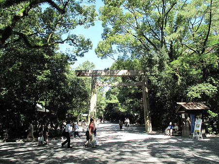 木漏れ日の参道 木漏れ日の参道