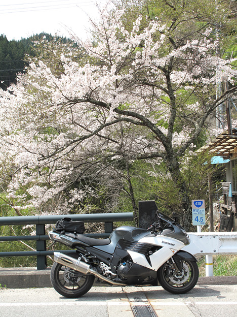 写真: IMG_9187 ちょっとした高低さで大分違いますね
