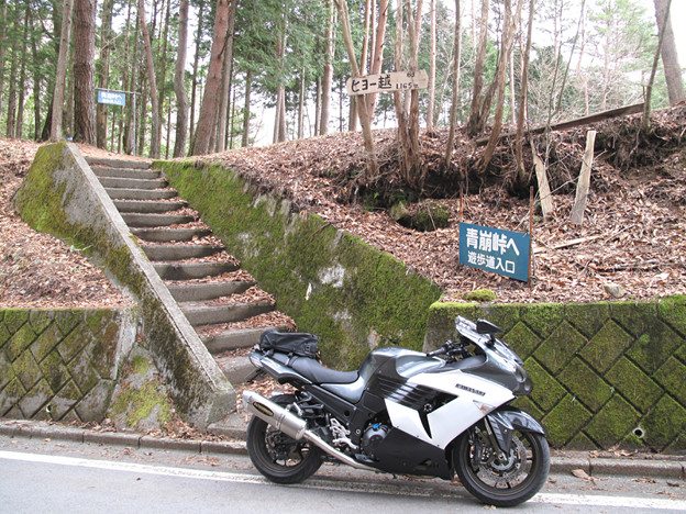 写真: IMG_9230 ヒョー越