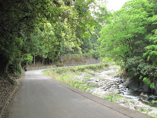 IMG_9357 気持ちよい高見川沿い 写真: IMG_9357 気持ちよい高見川沿い
