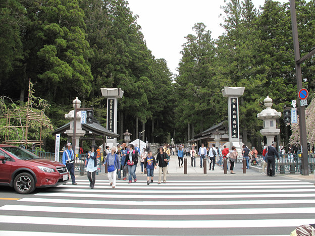 IMG_9358 奥の院参道 写真: IMG_9358 奥の院参道
