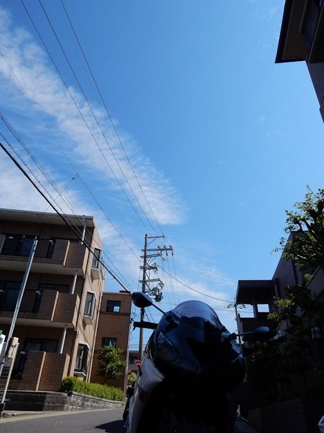 DSCN0760 梅雨の最高の晴れ間 写真: DSCN0760 梅雨の最高の晴れ間