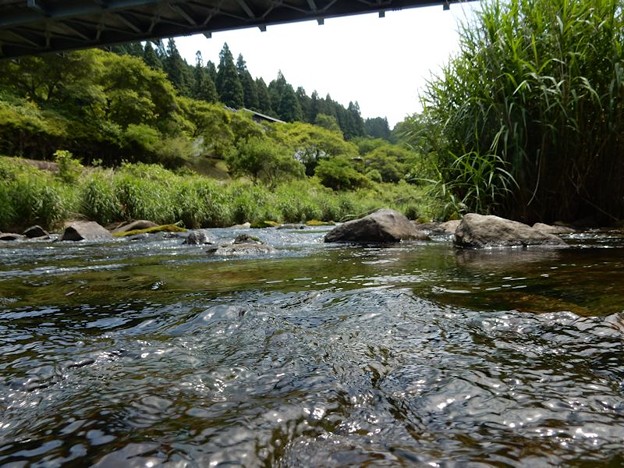 DSCN0765 川面を流れる風が気持ち良い 写真: DSCN0765 川面を流れる風が気持ち良い