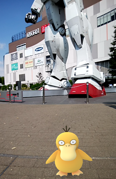 IMG_2016-08-13-09285975 いたいた 写真: IMG_2016-08-13-09285975 いたいた